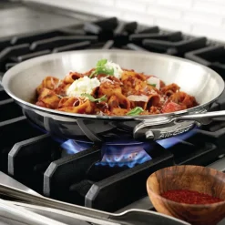 Clearance 8-Inch Fry Pan / D5 Polished Stainless Steel Compact Cooking Fry Pans & Skillets