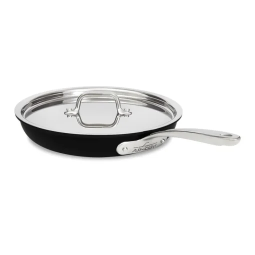 Best 10-Inch Fry Pan with Lid / NS Pro, Nonstick Cooking Fry Pans & Skillets