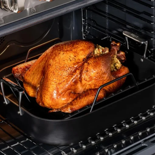 Hot NS Pro Nonstick Cookware, Nonstick Roaster, 16 x 13 inch Roasters