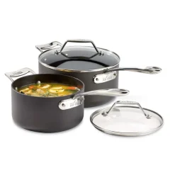 Outlet 2-Piece Sauce Pan Set / 2.5 and 4 Quart Essentials with Lids Sauce Pans & Sauciers