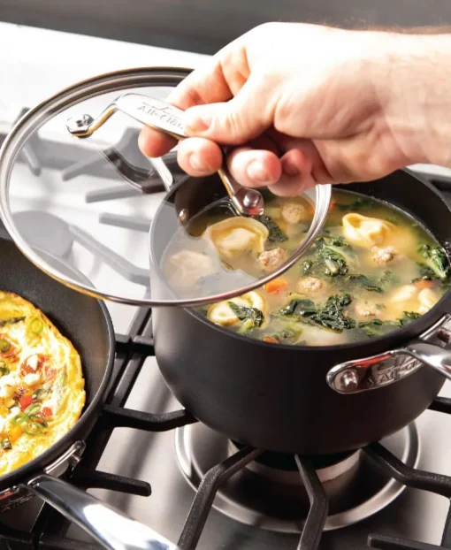 Outlet 2-Piece Sauce Pan Set / 2.5 and 4 Quart Essentials with Lids Sauce Pans & Sauciers