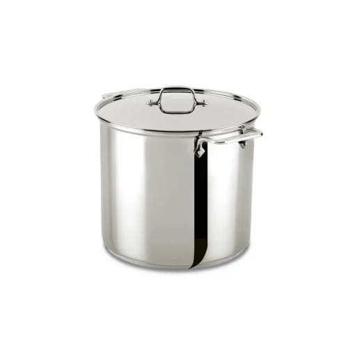 Clearance 16 Quart | Large Stainless Steel Pot with Lid | Specialty Cookware