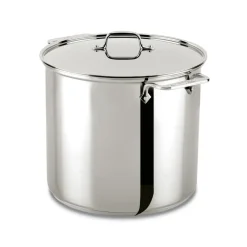 Clearance 16 Quart | Large Stainless Steel Pot with Lid | Specialty Cookware