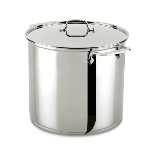 Clearance 16 Quart | Large Stainless Steel Pot with Lid | Specialty Cookware